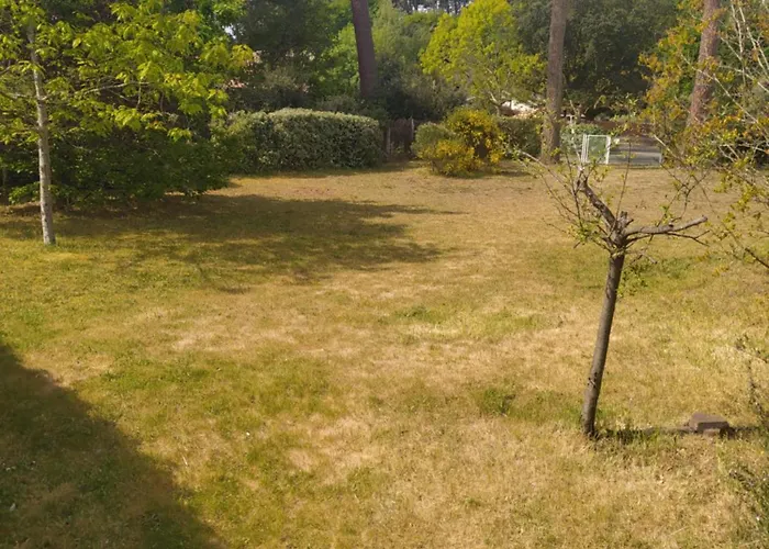 Petite Maison A - Hébergement de vacances Biscarrosse