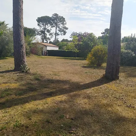 Petite Maison A - * Biscarrosse